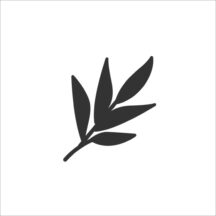 観葉植物が家にあることのメリット
